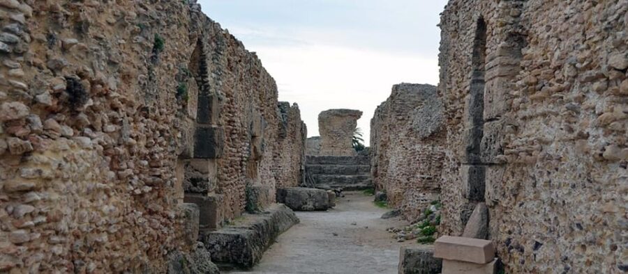 From Tunis/Sousse: Medina Bardo Carthage, Sidi Boussaid Tour