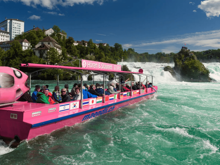 From Zurich: Rhine Falls & Stein Am Rhein Private Day Trip