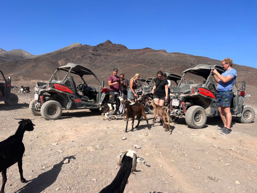 Fuerteventura: Buggy Tour in Punta De Jandía