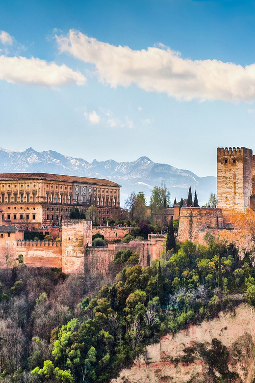 Granada: Alhambra and Nasrid Palaces Private Guide Tour