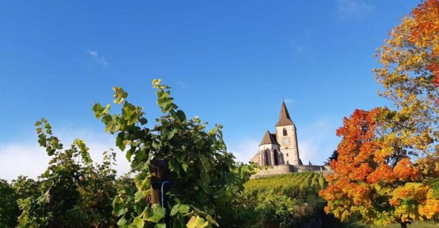 Iconics Typical Villages & Haut Koenigsbourg Castle