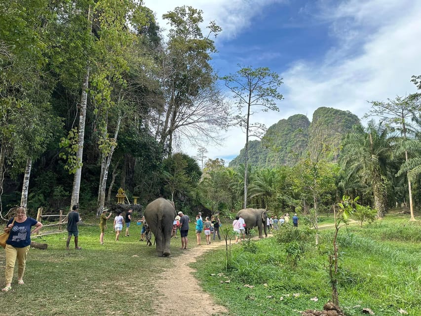 Khao Sok: Ethical Elephant Experience & Nature Walk - Experience Overview