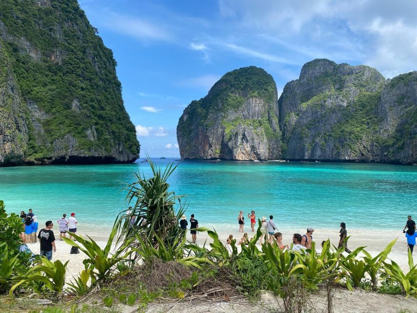 Ko Phi Phi Don: Speedboat Day Trip With Shark Snorkeling