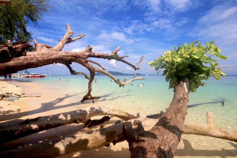 Koh Lanta: Emerald Cave, Ko Kradan & 4 Islands by Speedboat