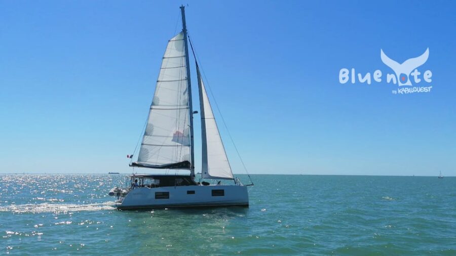 La Flotte, Île De Ré: Sailing Catamaran Cruise