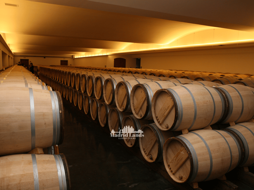 Madrid: Luxury Winery Emilio Moro Tour