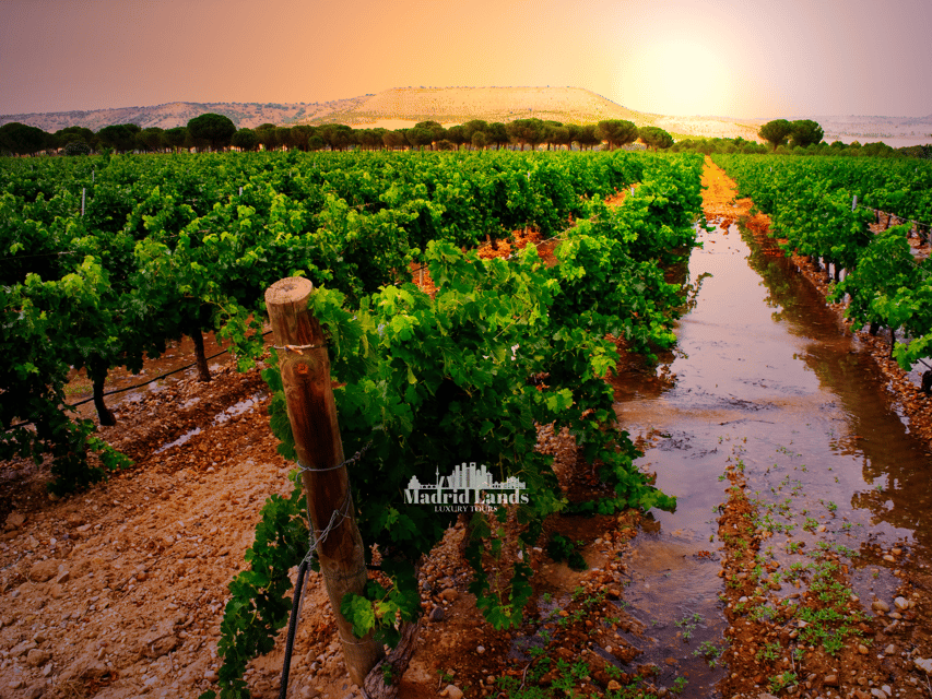 Madrid: Luxury Winner and Ribera Del Duero Tour
