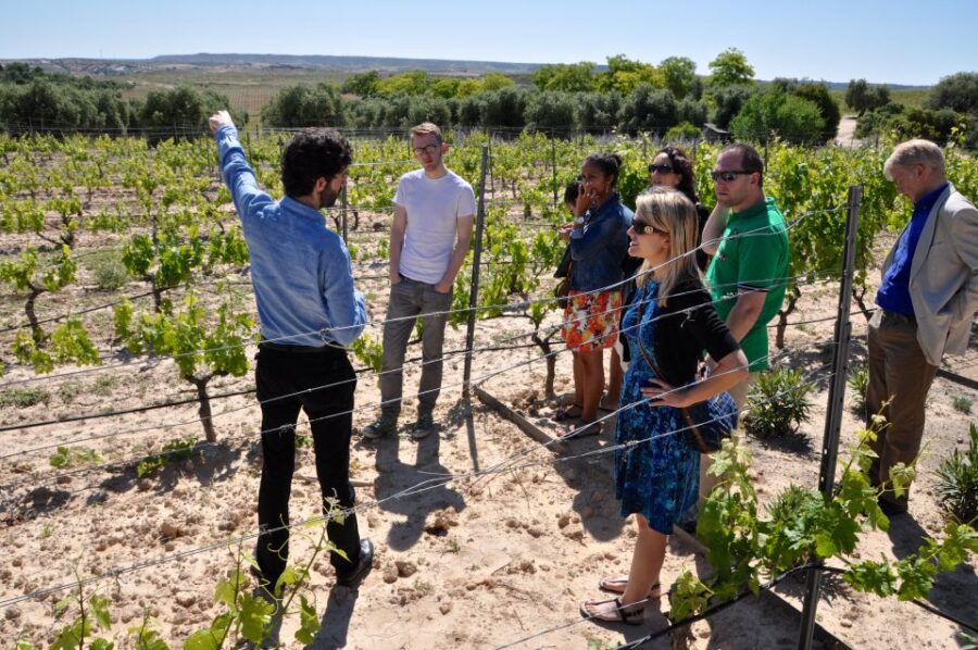 Madrid: Regional Madrid Wineries Guided Tour and Tastings