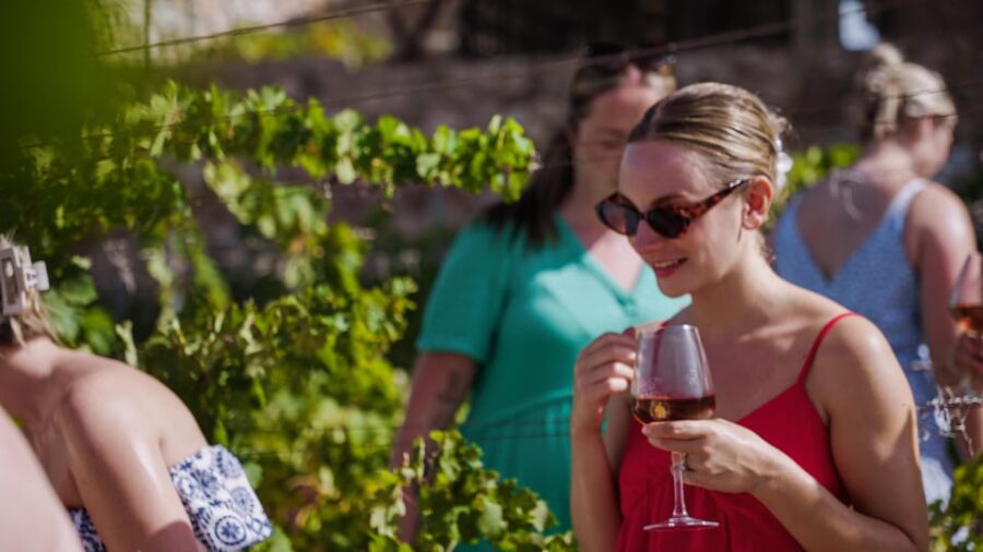 Malaga: Vineyard and Cellar Visit With 6 Top Wines and Tapas - Tour Overview and Pricing