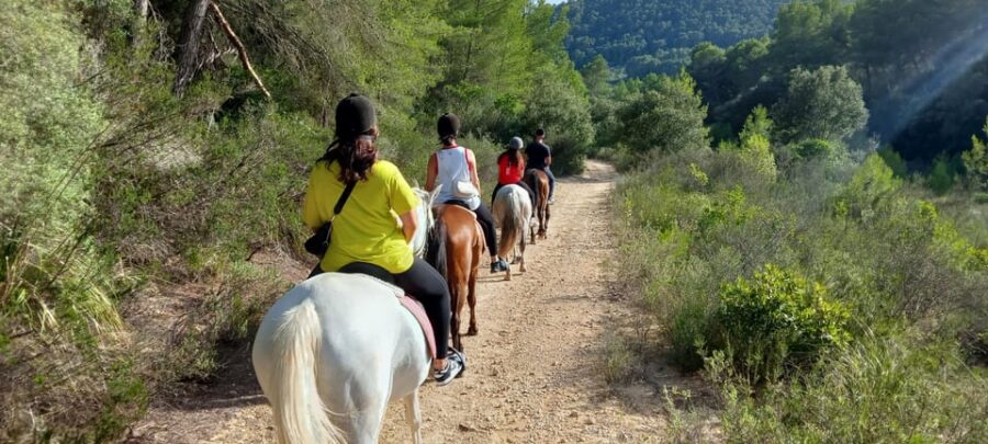 Mallorca: Activity, Antique Mallorca With Picnic