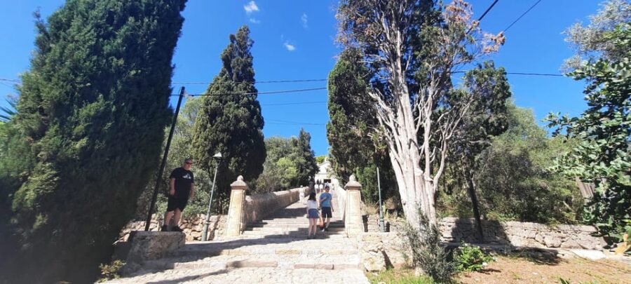 Mallorca: Cap & Cava – Minibus Tour to Formentor – GERMAN
