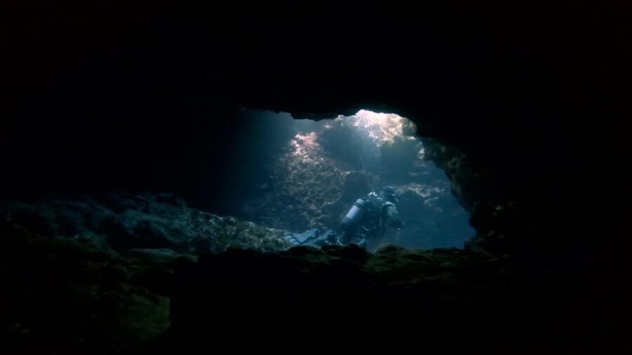 Malta: 2 Guided Dives for Certified Divers With Diving Gear - Dive Experience
