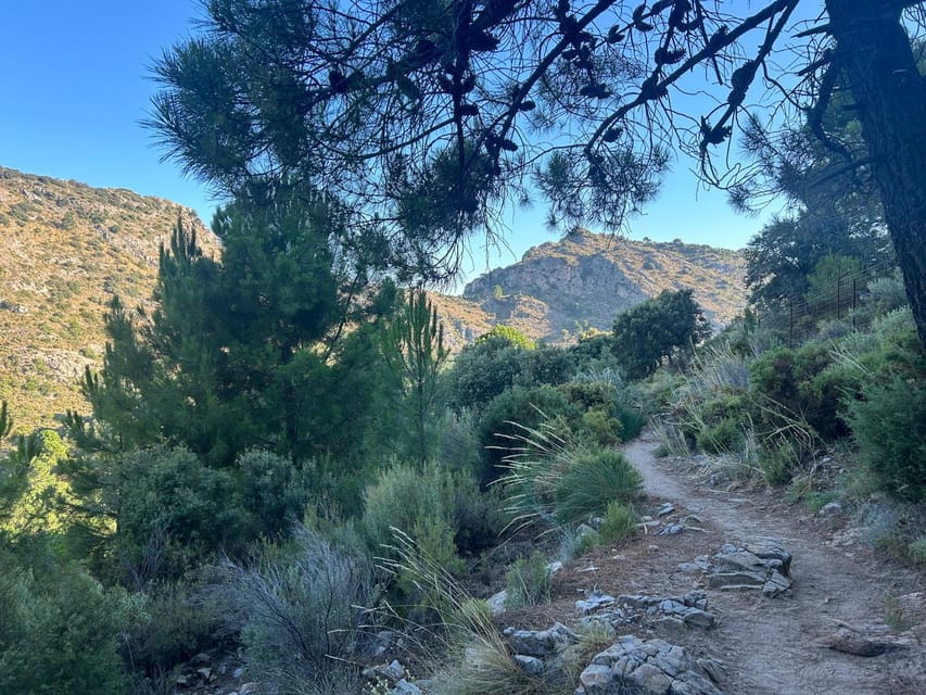 Marbella: The Concha Mountain Tour Including Snack and Drink