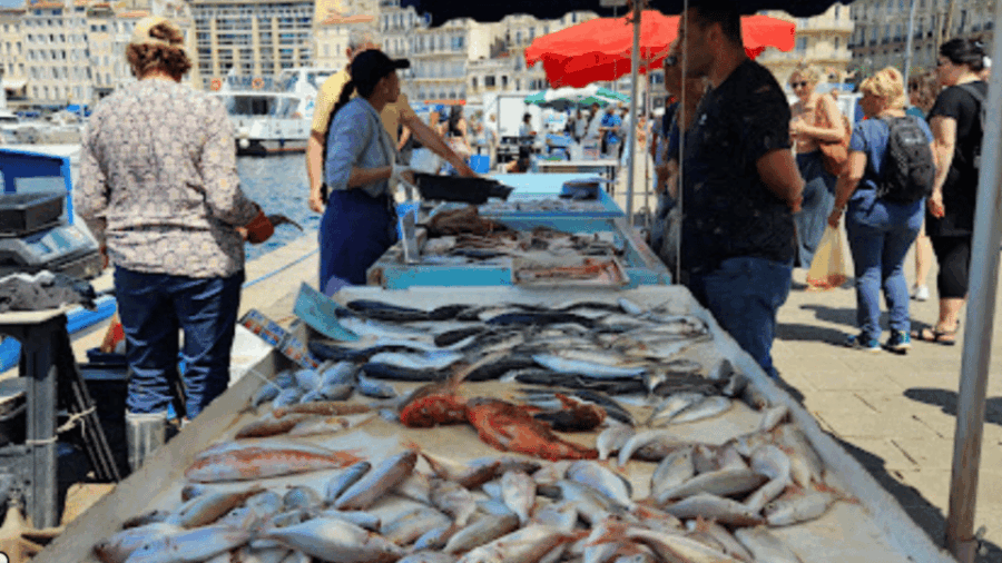 Marseille Gourmet Food Walking Tour : Taste Maritime Culture