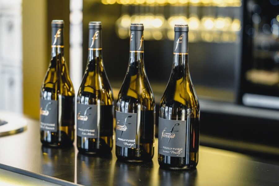 Mason: Visit and Tasting of the Estates Wines