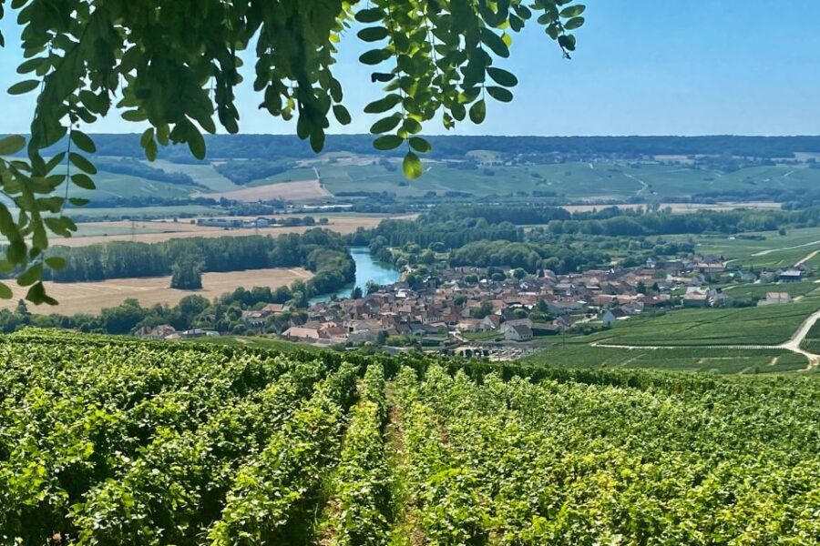 Moet Et Chandon Veuve Clicquot Pommery Private Champagn Trip - Trip Overview and Pricing
