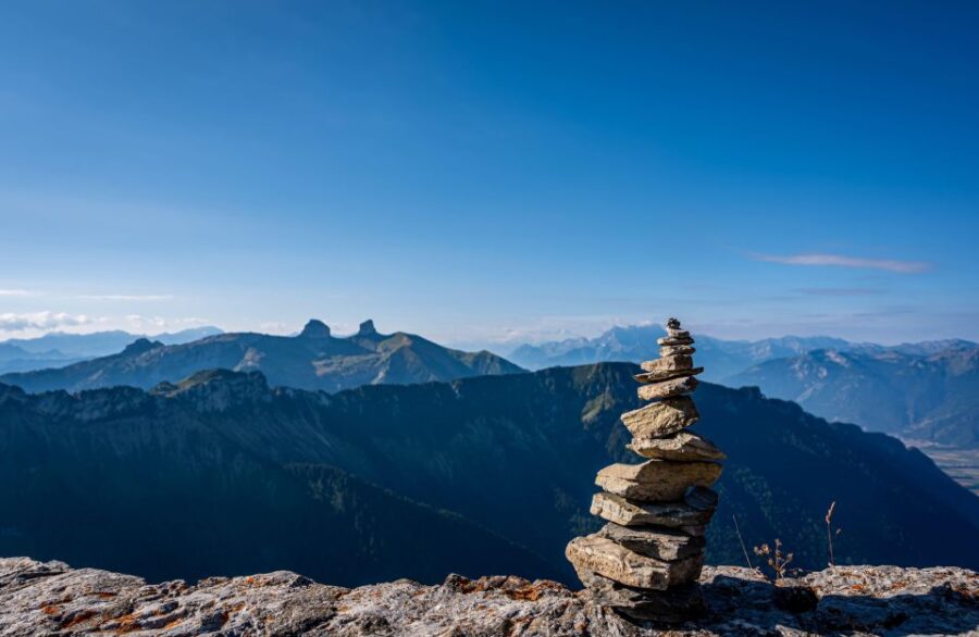 Montreux to Rochers-de-Naye: Alpine Adventure Ticket