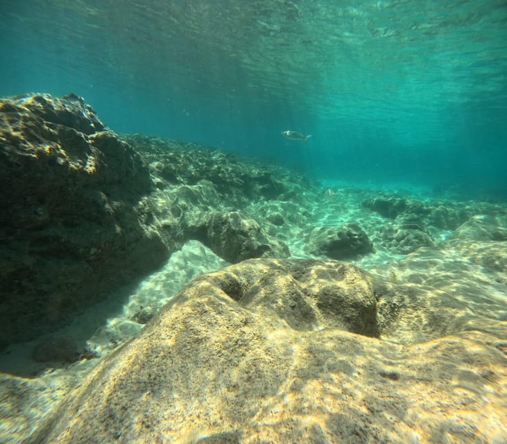 Morro Jable: Discover Scuba Diving Experience for Beginners