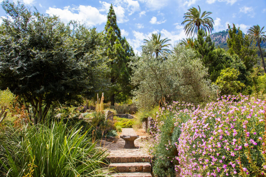 MUCBO | Botanic Garden of Sóller – Balearic Museum of Natural Sciences