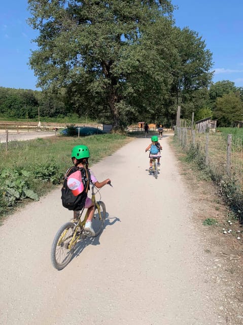 Nice: Discovery Tree Climbing for Children in a Natural Setting