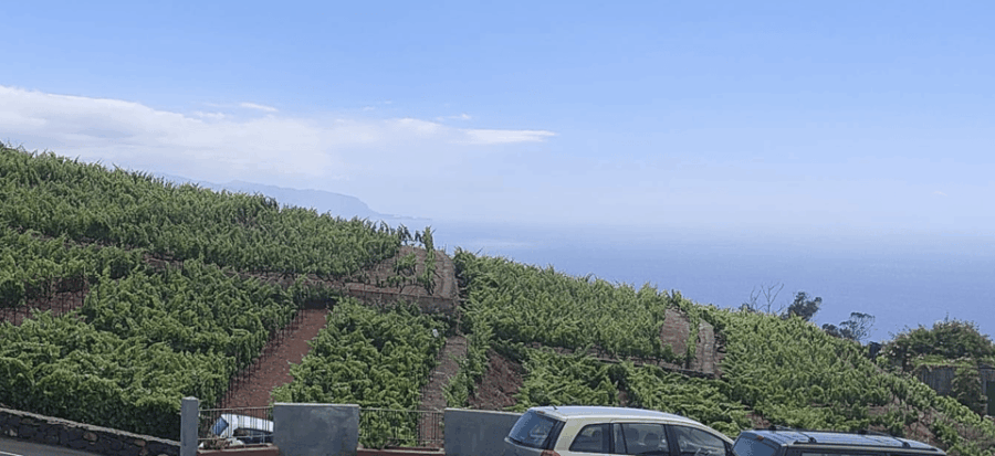 Orotava Valley: Wine as a Product of Heroes