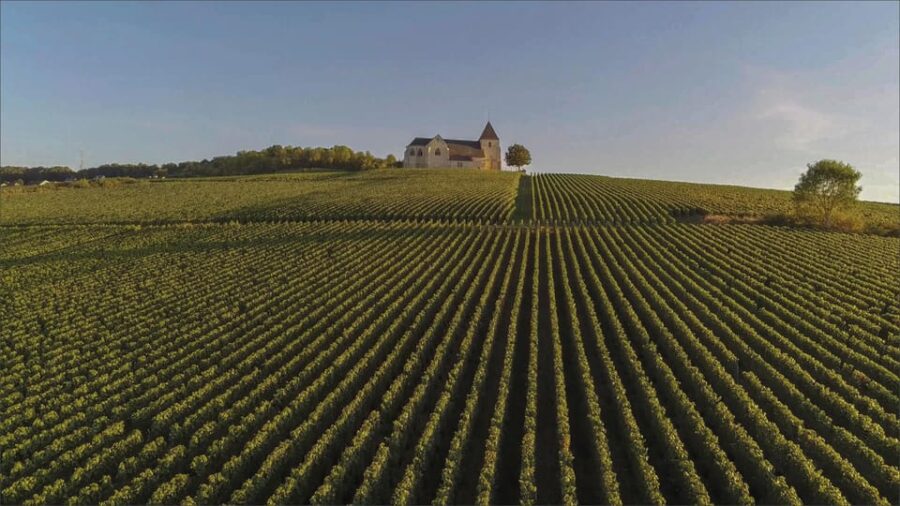 Paris VIP: Champagne Region Private Chauffeur Driven 12hrs - Overview and Pricing