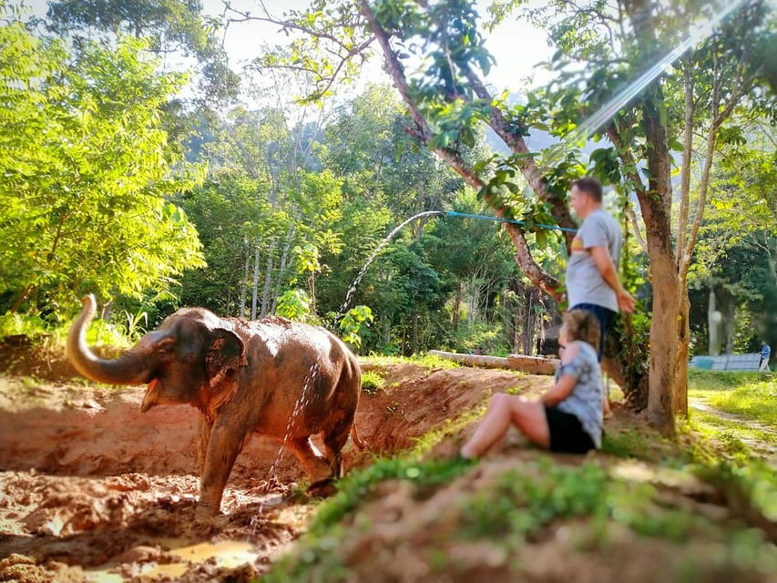Phuket: Elephant Nature Reserve Entry Ticket and Guided Tour