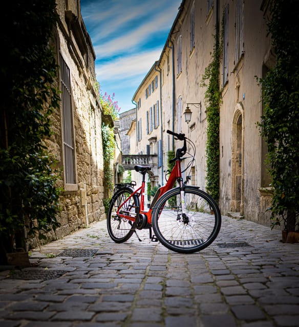 Picnic in the Middle of a Vineyard by E-Bike