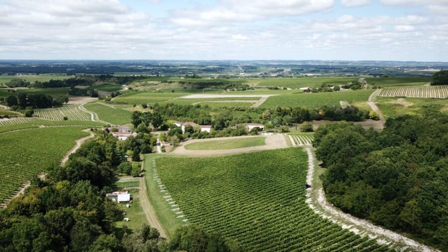 Private Tour Day in the Heart of the Cognac Vineyards