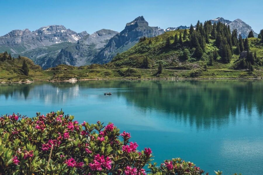Private Trip: Zurich to Mt. Titlis - Rotary, Ice Cave, Cliff - Titlis Rotair for 360-Degree Views
