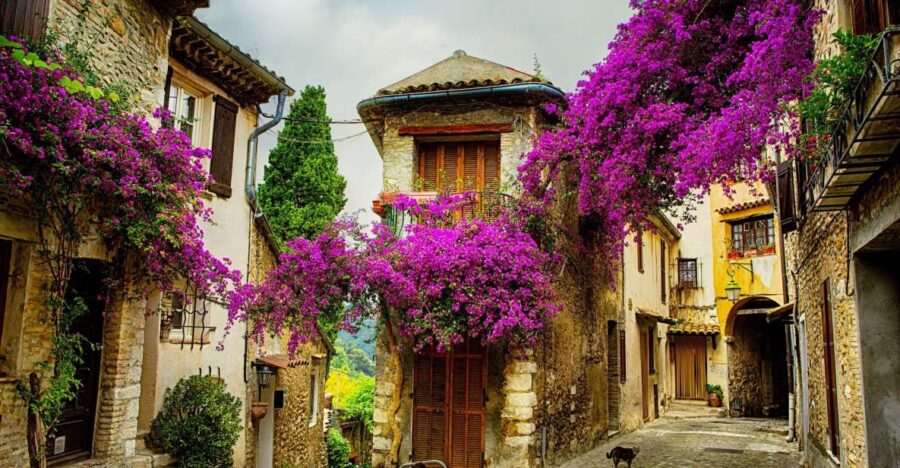 Provence Private Tour: Aix-En-Provence, (Marseille) & Cassis