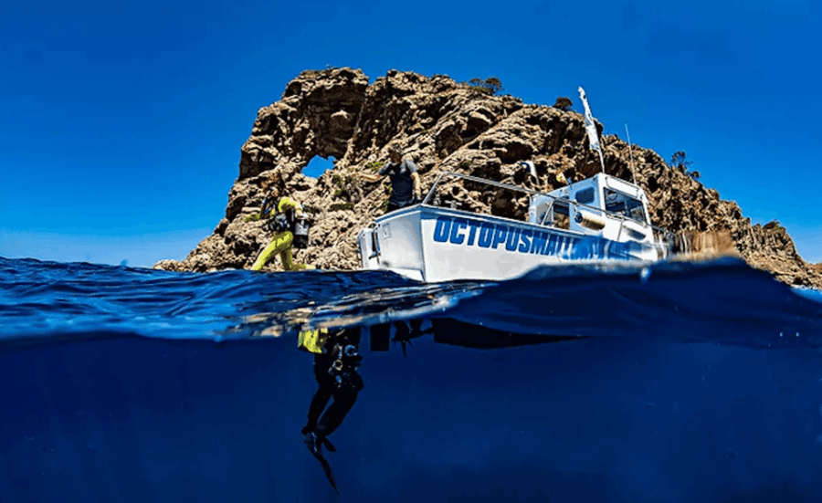 Puerto De Soller: Train and Discover Scuba Diving