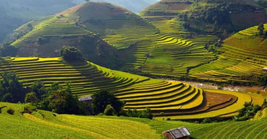 Sa Pa: Muong Hoa Valley Trek and Local Ethnic Villages