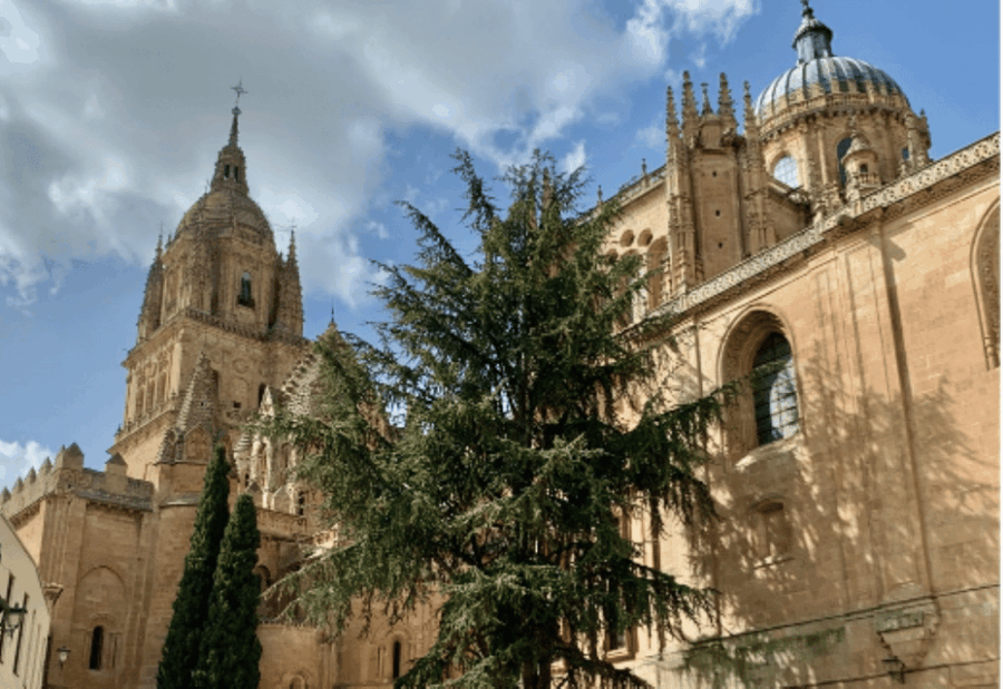 Salamanca Great Private Tour