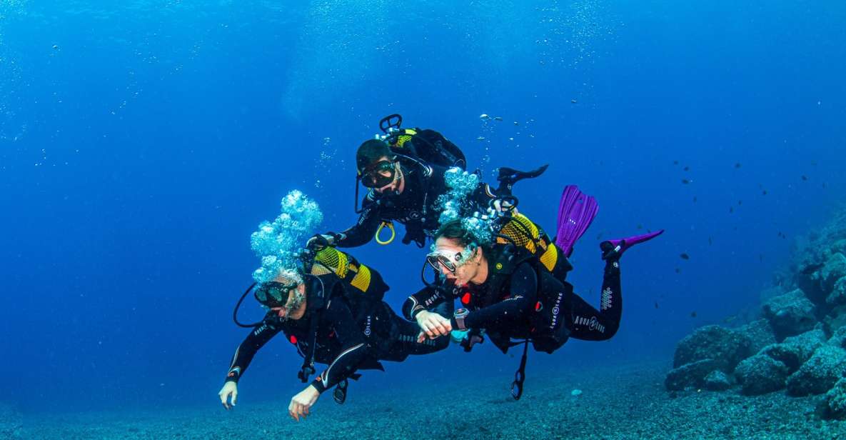 Santa Cruz De Tenerife: Advanced Introductory Course