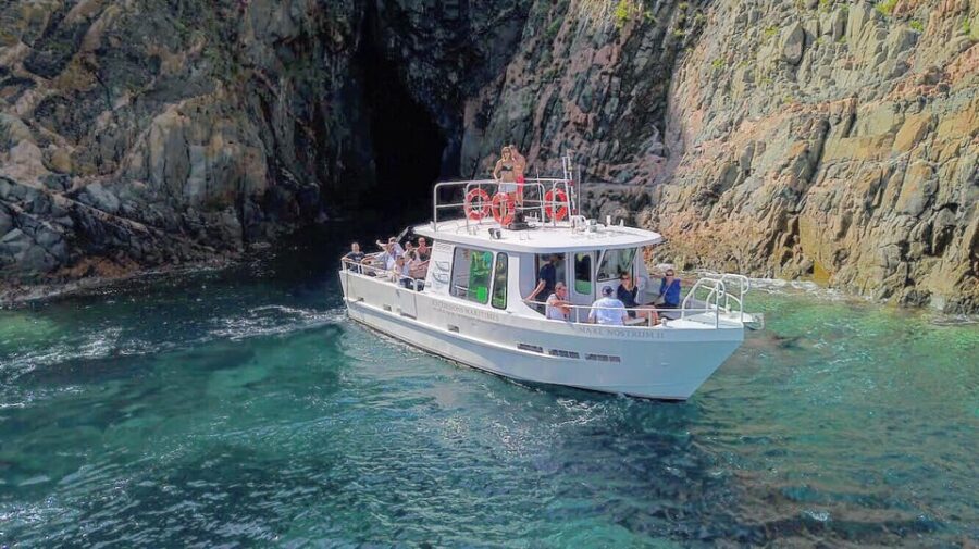 Scandola: Visit the Nature Reserve From Porto (France)
