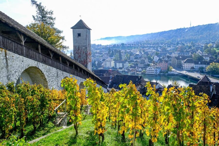 Schaffhausen: Express Walk With a Local in 60 Minutes
