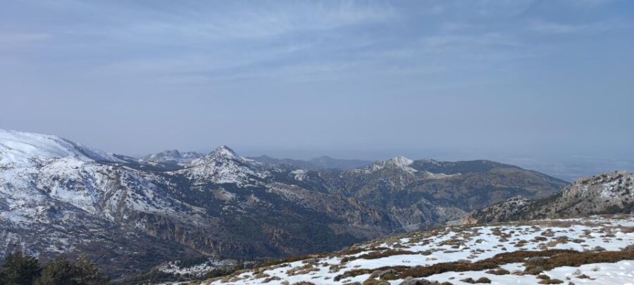 Sierra Nevada Small Group BIKE Tour