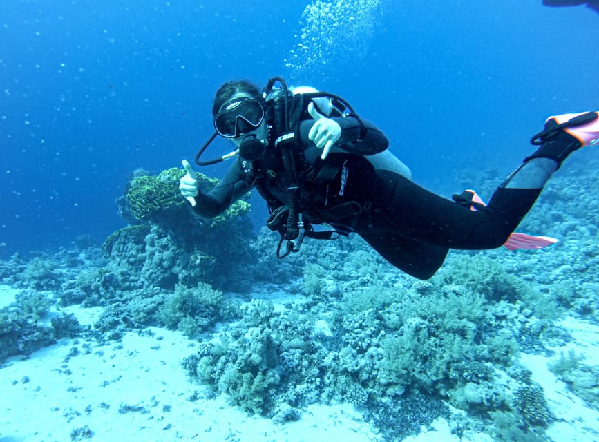 Tenerife – 2 Guided Dives for Certified Divers – Half Day
