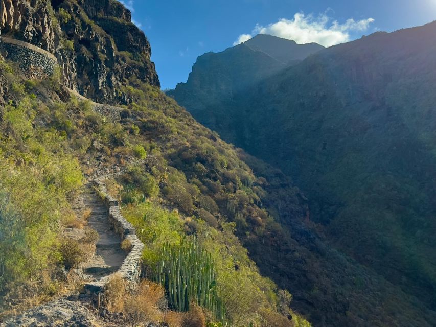 Tenerife: Barranco Del Infierno Guided Hiking Tour