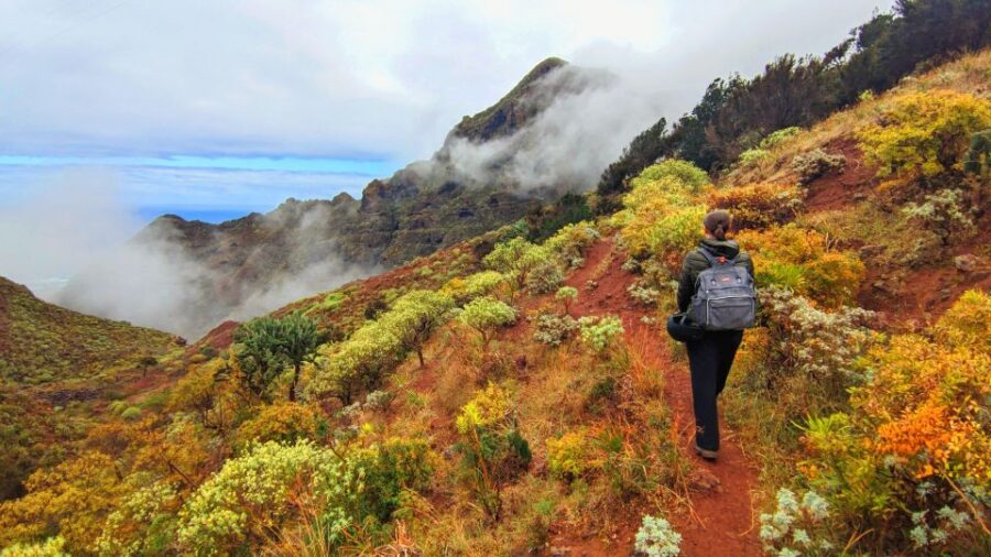 Tenerife: Hiking Tour in Anaga Mountains & Enchanted Forest