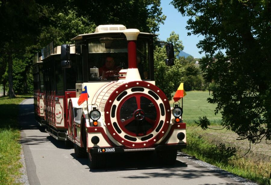 Vaduz: City Train Tour
