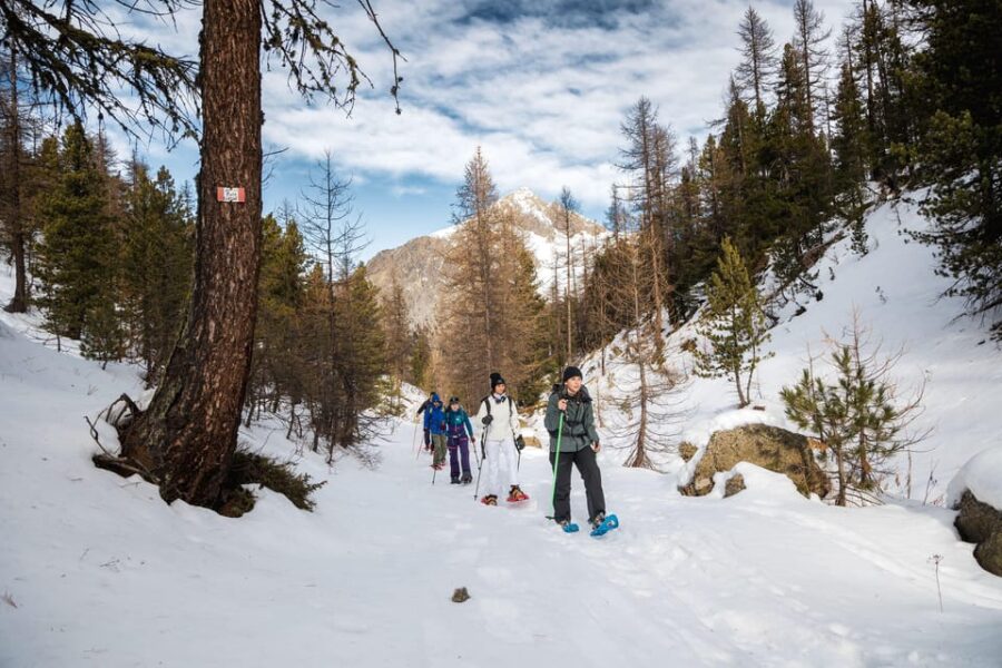 Vialattea: Snowshoeing in the Snowy Forest