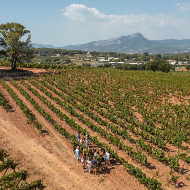 Wine Tour – Le Pradet