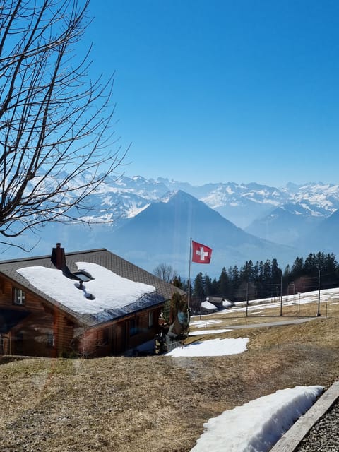 Zurich or Lucerne: Mount Titlis and Lucerne Day Tour