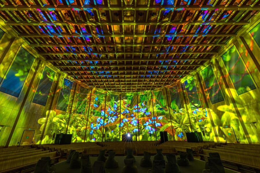 Zurich: Pixel Zoo Jungle – an Immersive Journey Through the Rainforests
