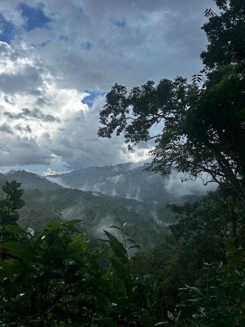 From Chiang Mai: Doi Saket Hiking Tour With Lunch - Participant Requirements and Recommendations