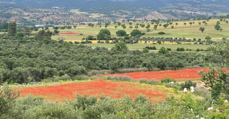 Madrid: Unspoiled Spain for Foodies & Nature ❤️’s - Important Information