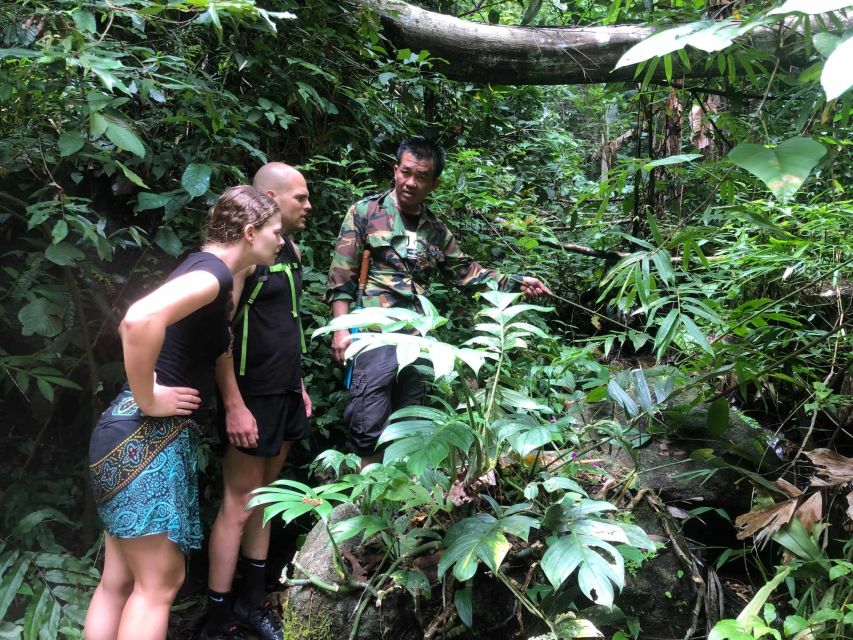 From Chiang Mai: Doi Saket Hiking Tour With Lunch - Experiencing the Local Tribal Culture