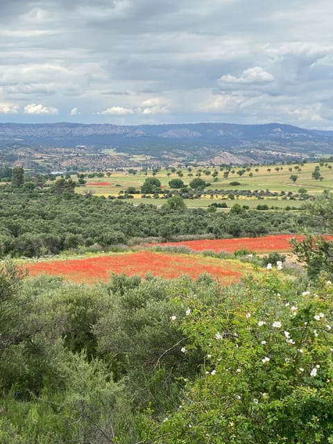 Madrid: Unspoiled Spain for Foodies & Nature ❤️’s - Frequently Asked Questions
